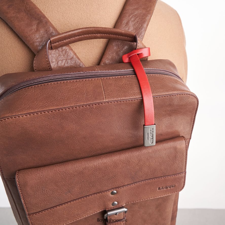 LLOYD Men Backpack H4BXXT651 Accessories brown