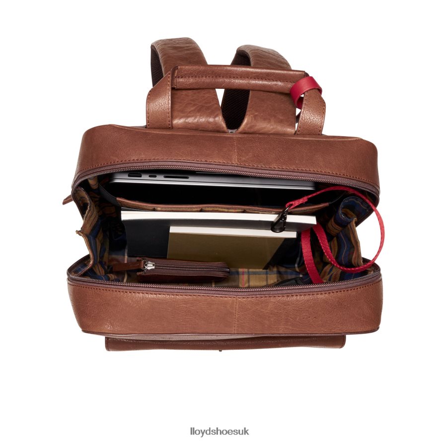 LLOYD Men Backpack H4BXXT651 Accessories brown