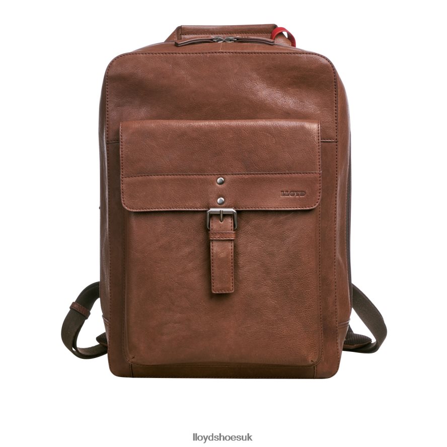 LLOYD Men Backpack H4BXXT651 Accessories brown