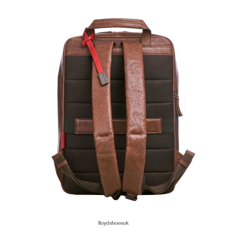 LLOYD Men Backpack H4BXXT651 Accessories brown