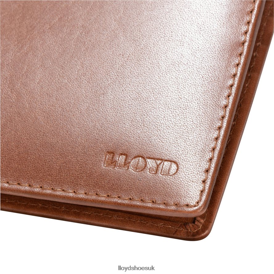 LLOYD Men CARD POCKET H4BXXT671 Accessories brown