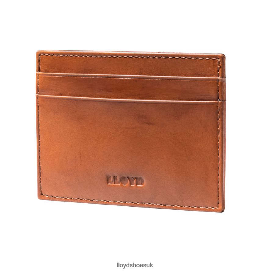 LLOYD Men CREDIT CARD CASE H4BXXT661 Accessories brown