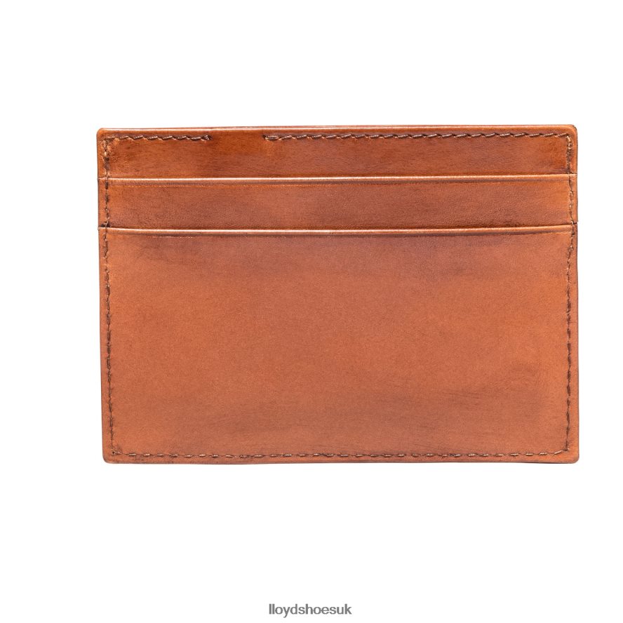 LLOYD Men CREDIT CARD CASE H4BXXT661 Accessories brown