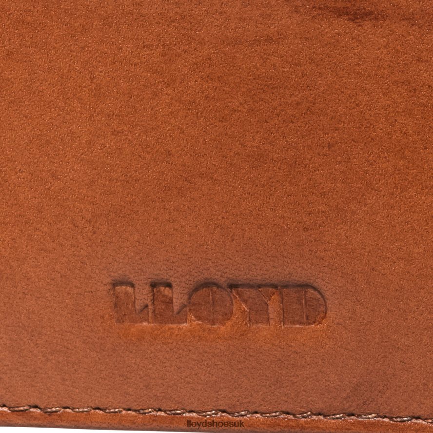 LLOYD Men CREDIT CARD CASE H4BXXT661 Accessories brown