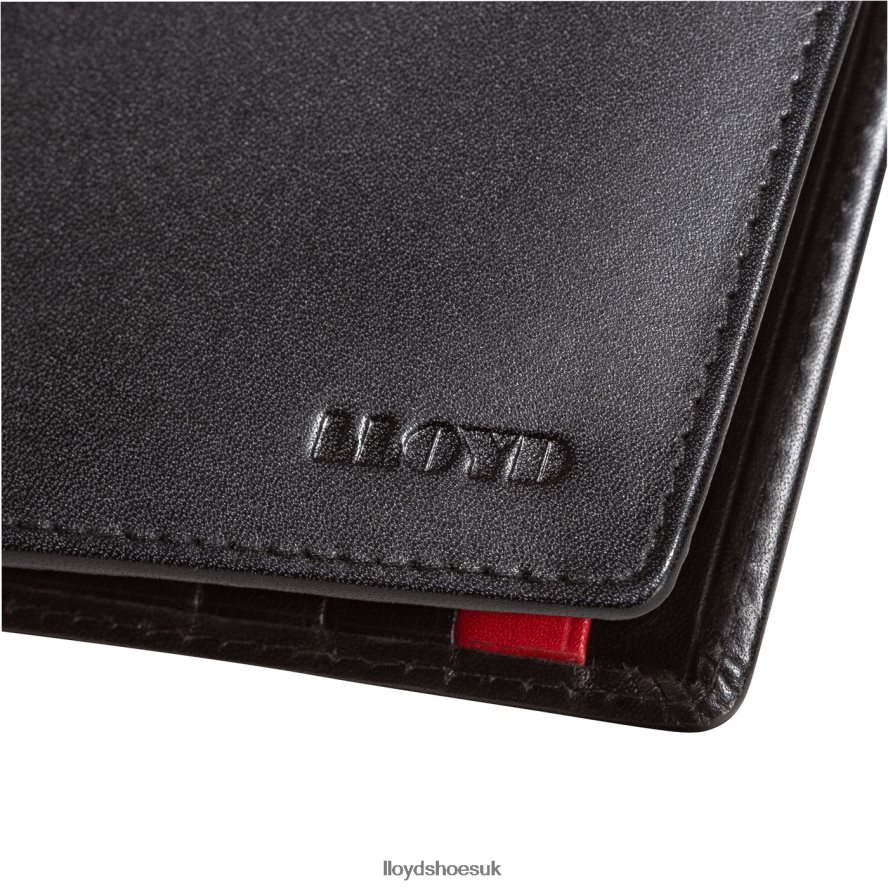 LLOYD Men DOLLAR CLIP H4BXXT670 Accessories black