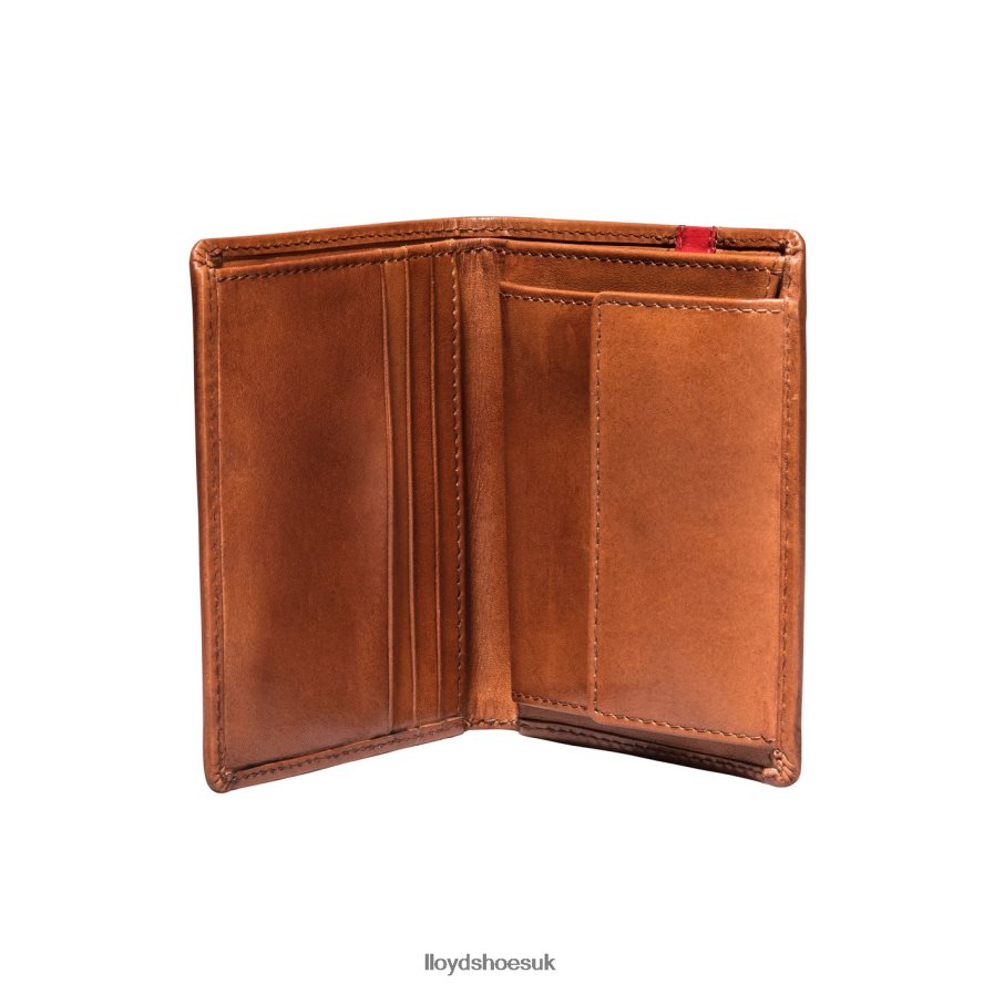 LLOYD Men POCKET H4BXXT656 Accessories brown