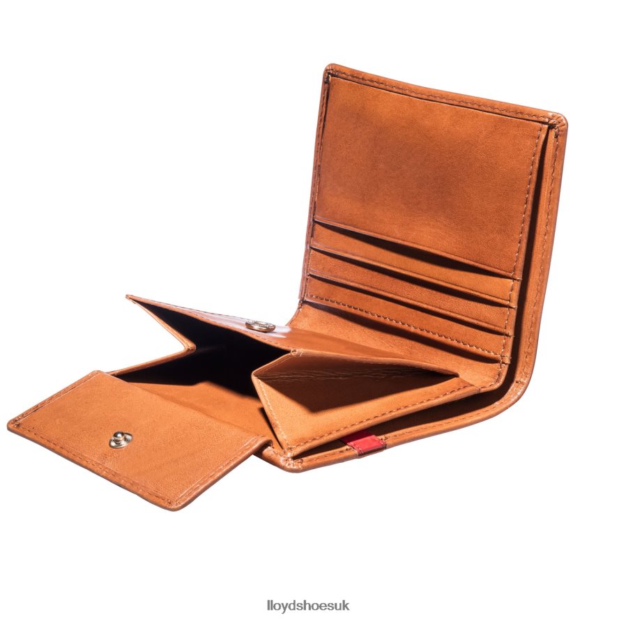 LLOYD Men POCKET H4BXXT656 Accessories brown