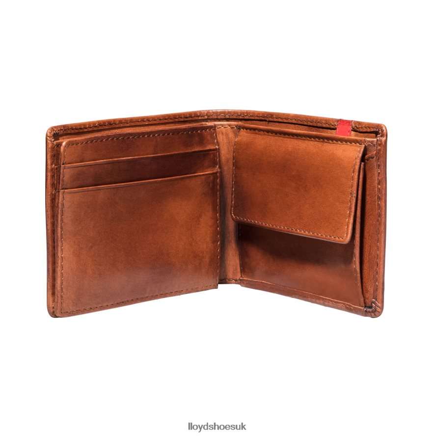 LLOYD Men POCKET H4BXXT677 Accessories brown