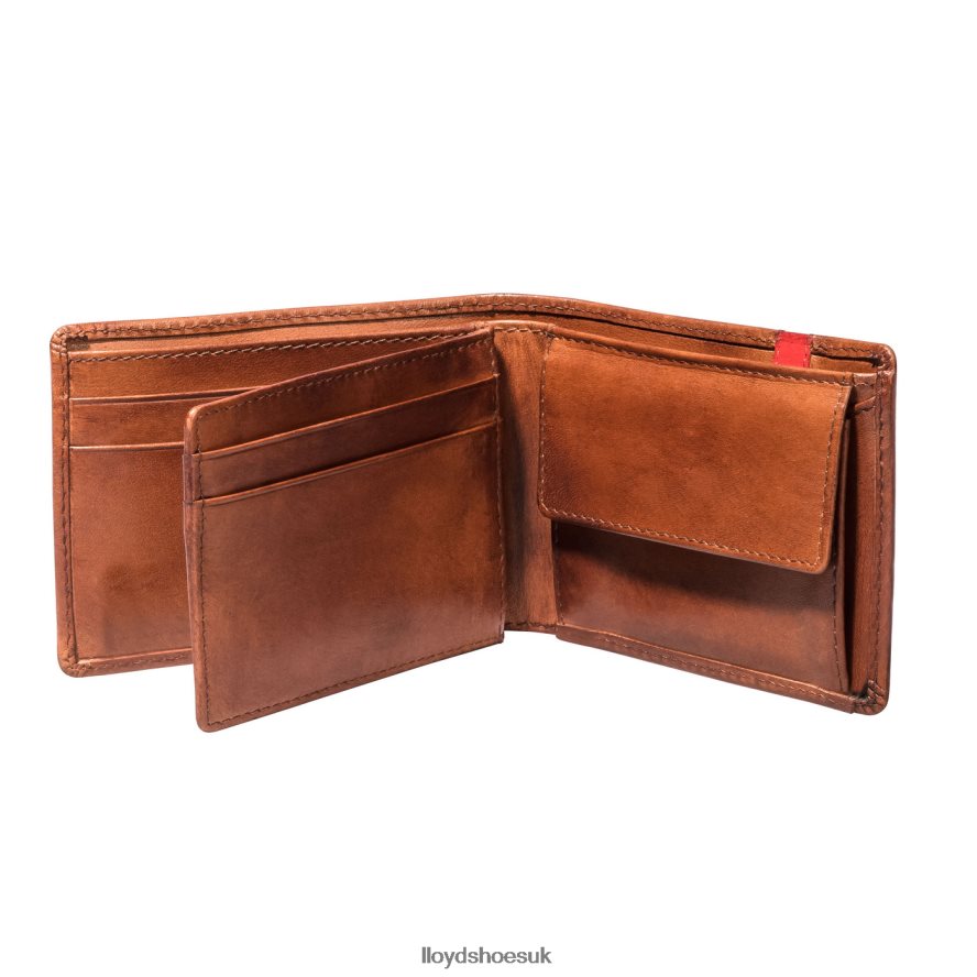 LLOYD Men POCKET H4BXXT677 Accessories brown