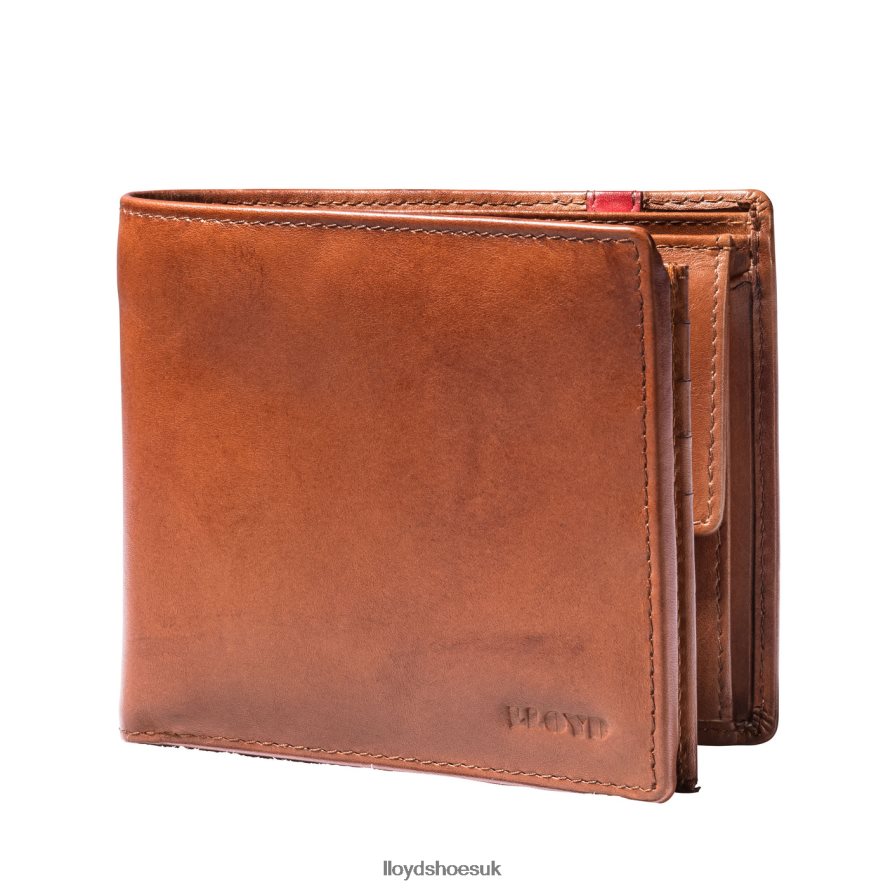 LLOYD Men POCKET H4BXXT680 Accessories brown