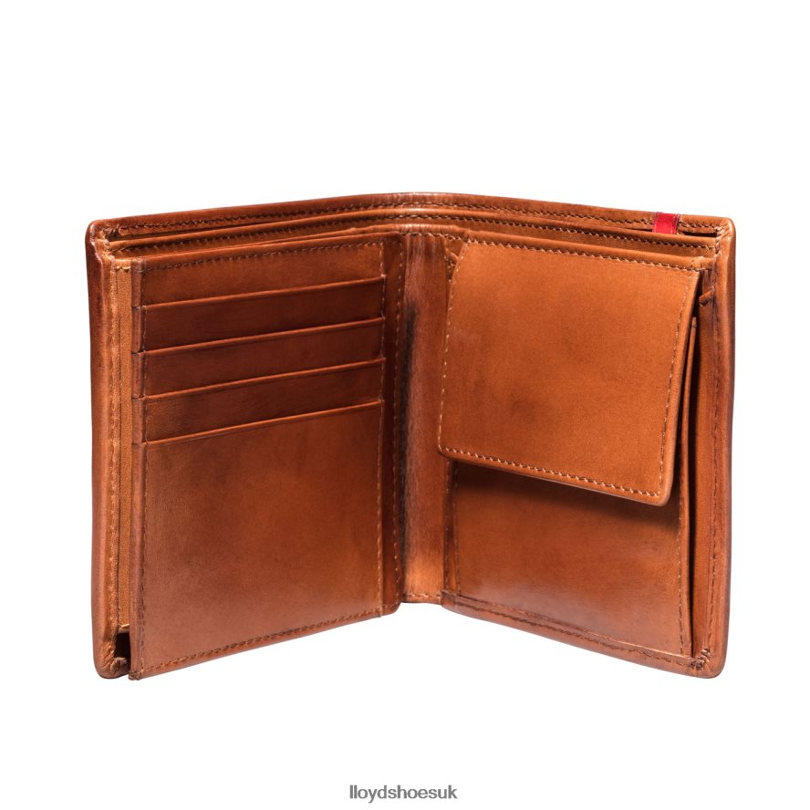 LLOYD Men POCKET H4BXXT680 Accessories brown