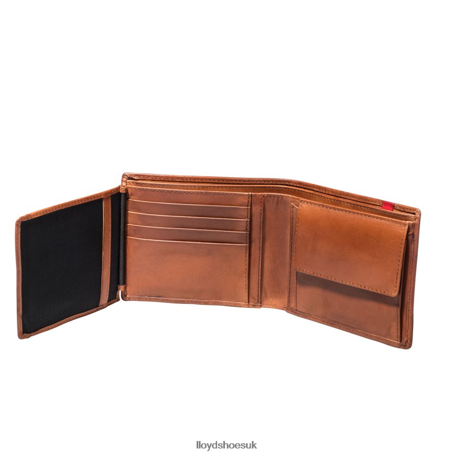 LLOYD Men POCKET H4BXXT680 Accessories brown