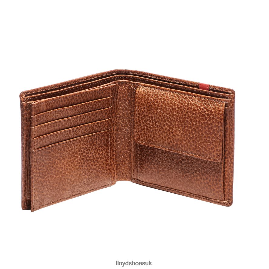 LLOYD Men WALLET H4BXXT669 Accessories brown