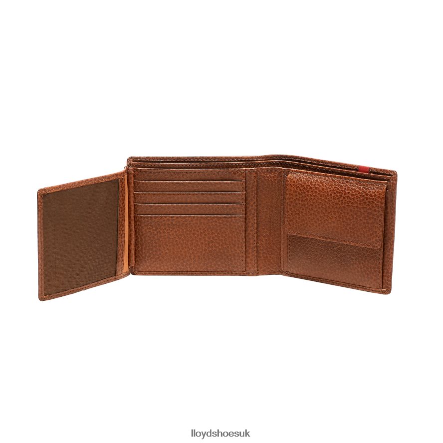 LLOYD Men WALLET H4BXXT669 Accessories brown