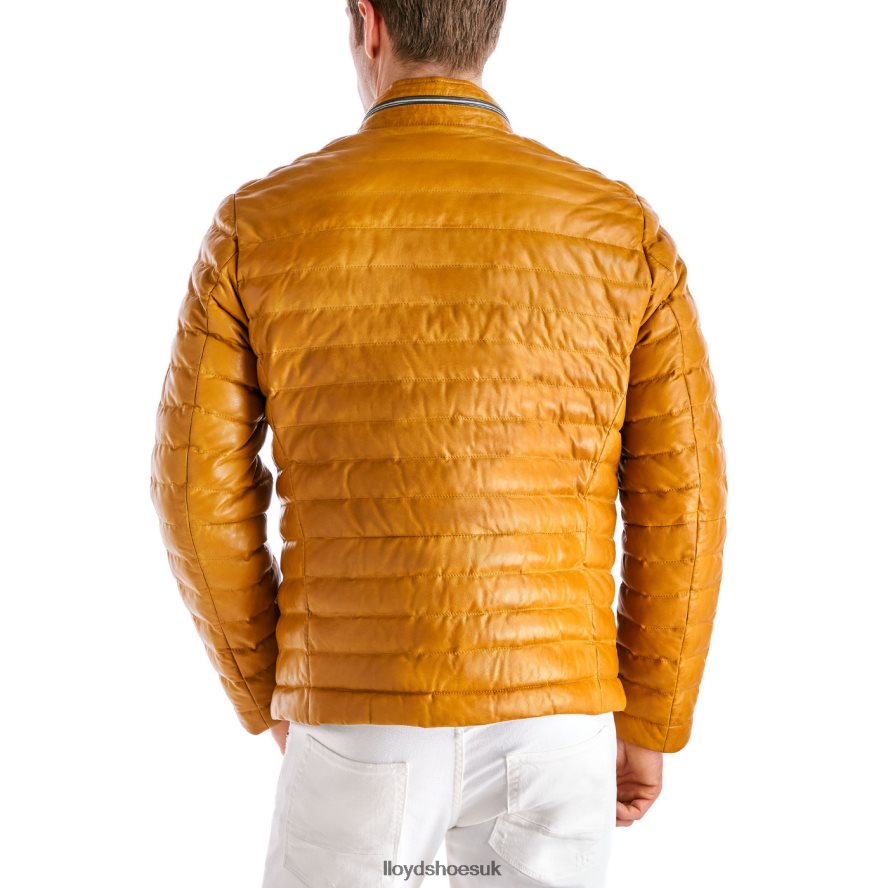 LLOYD Men MALIO H4BXXT635 Clothing yellow
