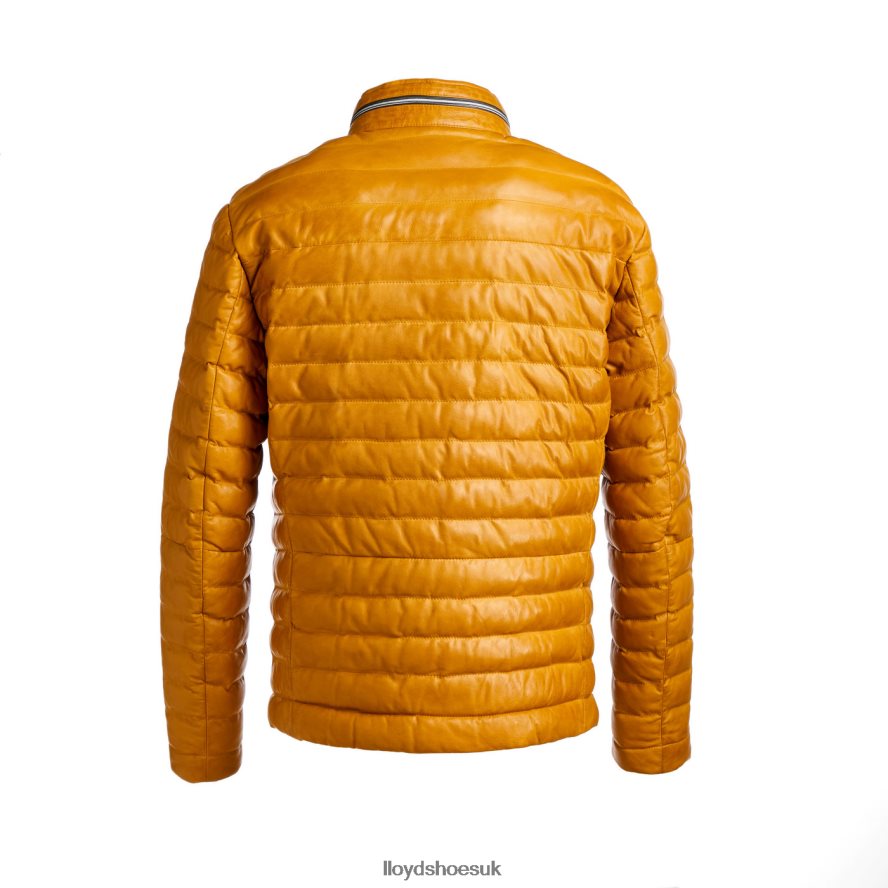 LLOYD Men MALIO H4BXXT635 Clothing yellow