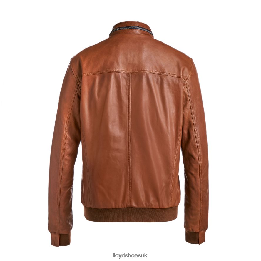 LLOYD Men MARLON H4BXXT630 Clothing brown
