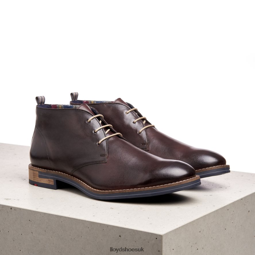 LLOYD Men DANIEL H4BXXT168 Shoes brown