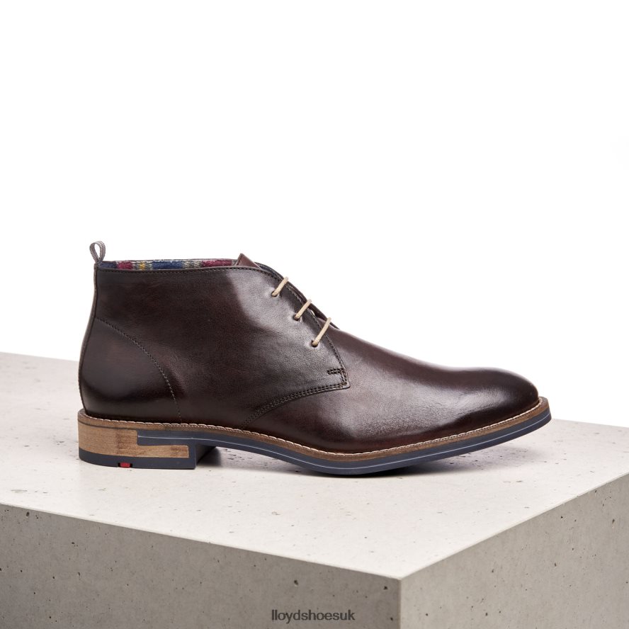 LLOYD Men DANIEL H4BXXT168 Shoes brown