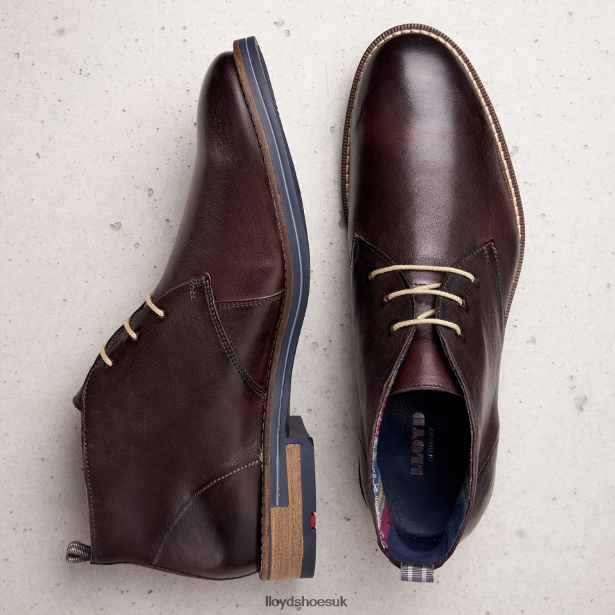 LLOYD Men DANIEL H4BXXT168 Shoes brown