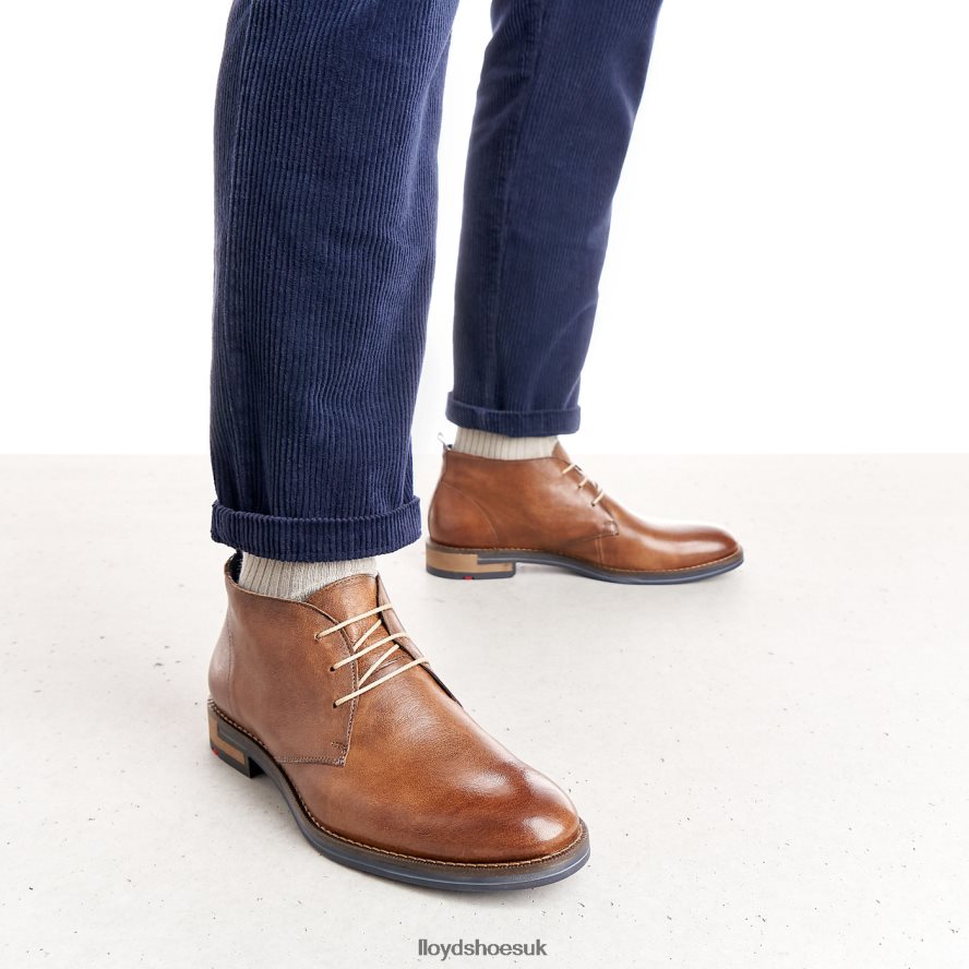 LLOYD Men DANIEL H4BXXT549 Shoes brown