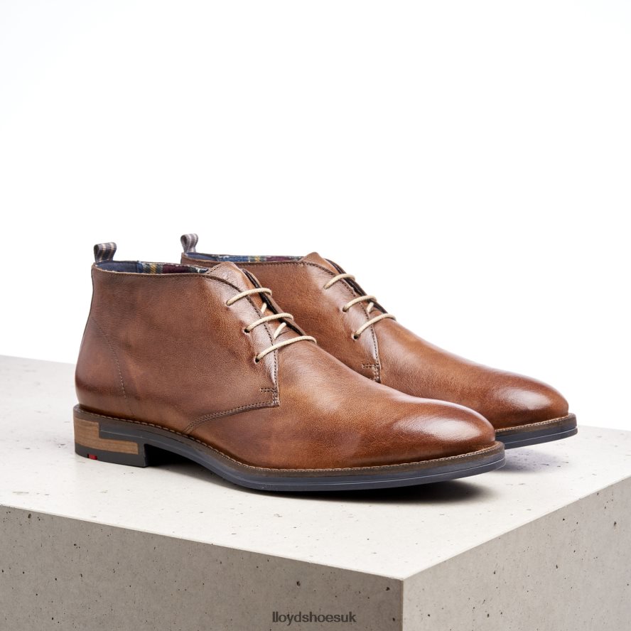 LLOYD Men DANIEL H4BXXT549 Shoes brown