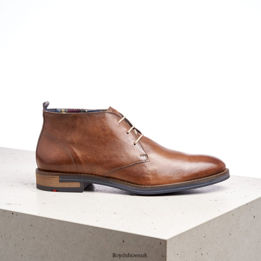 LLOYD Men DANIEL H4BXXT549 Shoes brown