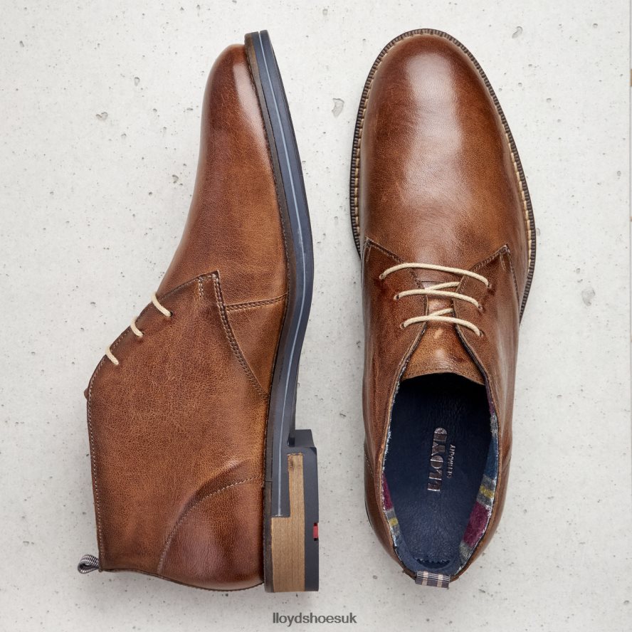 LLOYD Men DANIEL H4BXXT549 Shoes brown