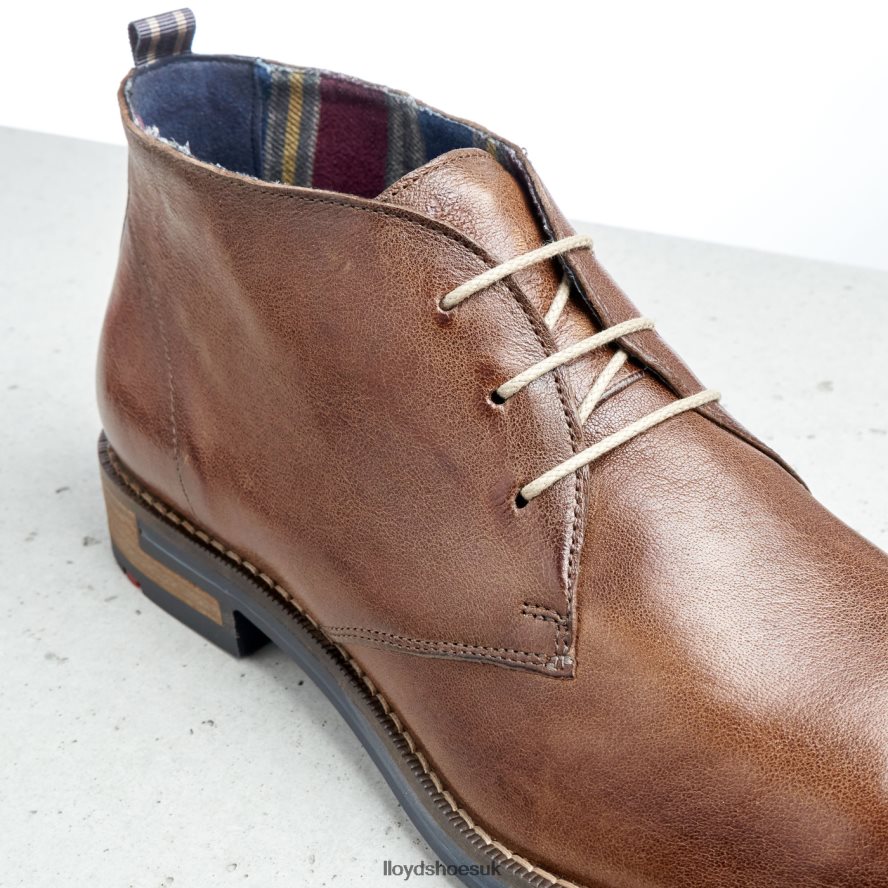 LLOYD Men DANIEL H4BXXT549 Shoes brown