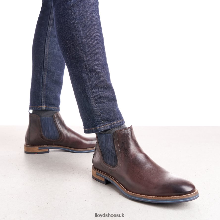 LLOYD Men DARIO H4BXXT1342 Shoes brown
