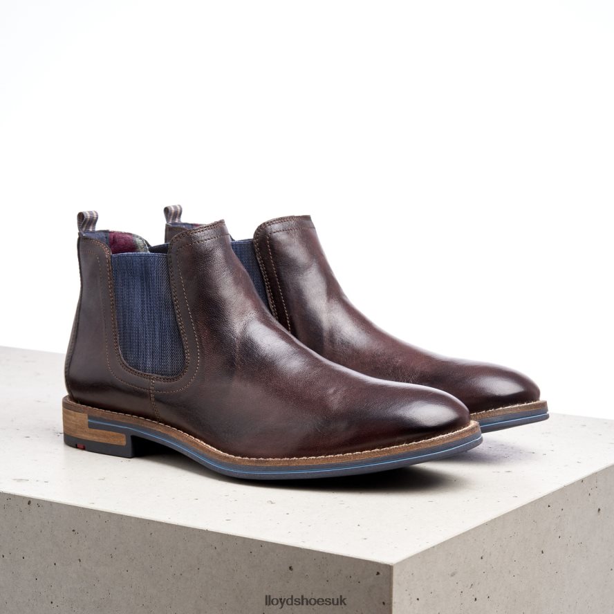 LLOYD Men DARIO H4BXXT1342 Shoes brown