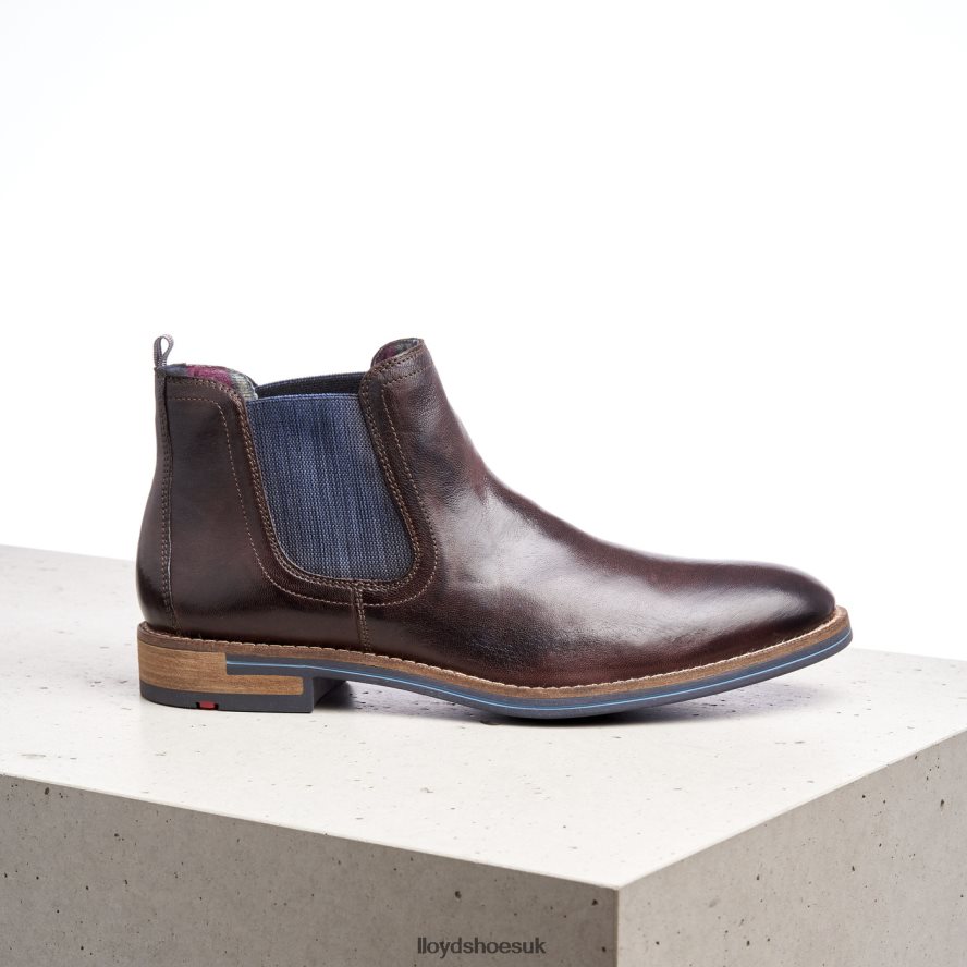 LLOYD Men DARIO H4BXXT1342 Shoes brown