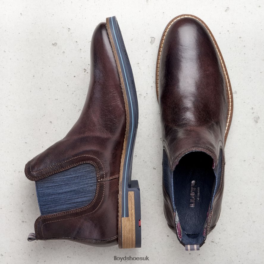 LLOYD Men DARIO H4BXXT1342 Shoes brown