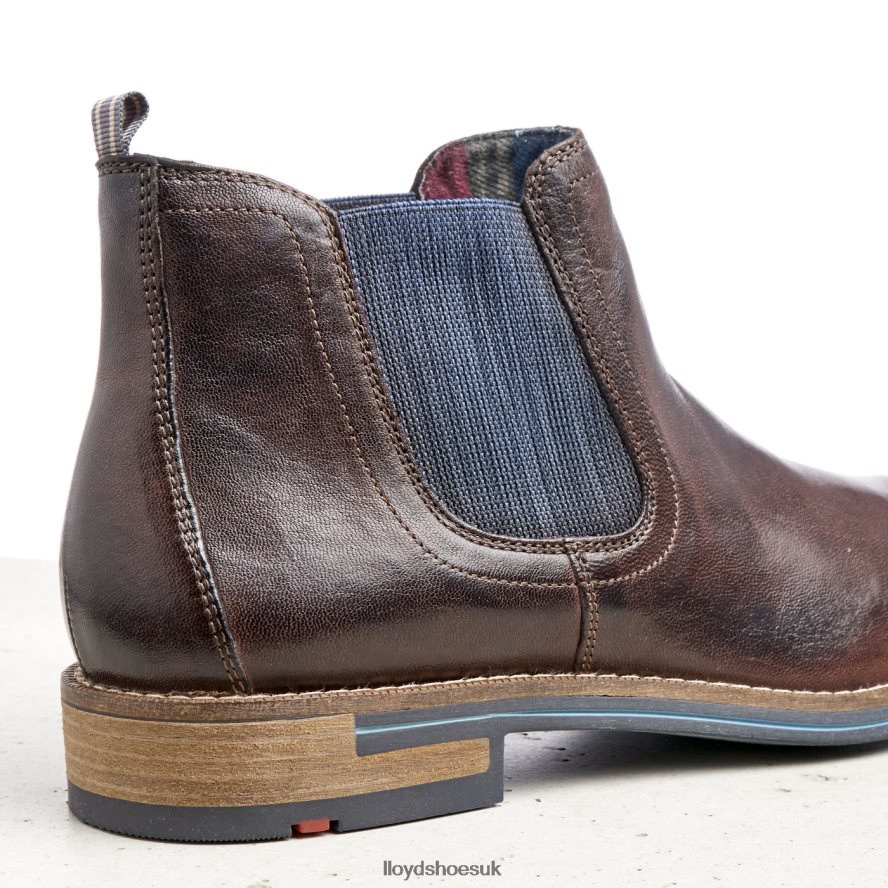 LLOYD Men DARIO H4BXXT1342 Shoes brown