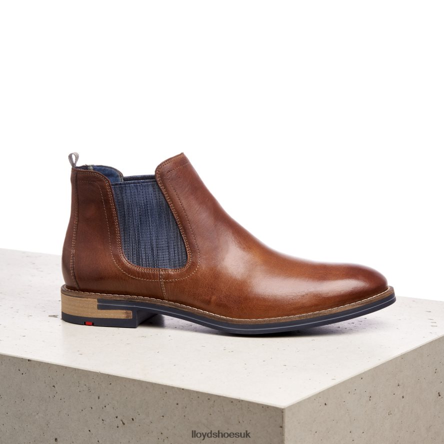LLOYD Men DARIO H4BXXT1343 Shoes brown
