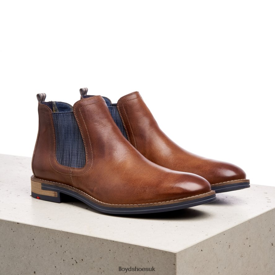 LLOYD Men DARIO H4BXXT1343 Shoes brown