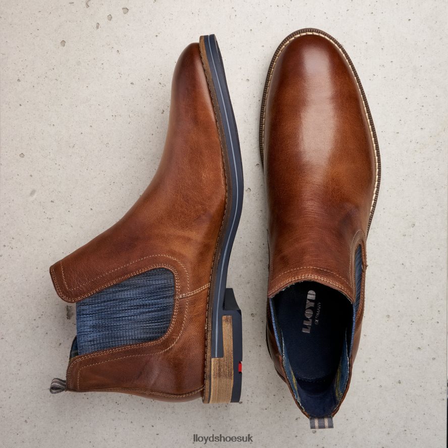 LLOYD Men DARIO H4BXXT1343 Shoes brown