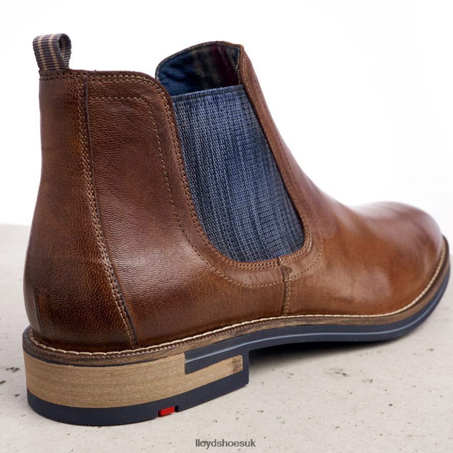 LLOYD Men DARIO H4BXXT1343 Shoes brown