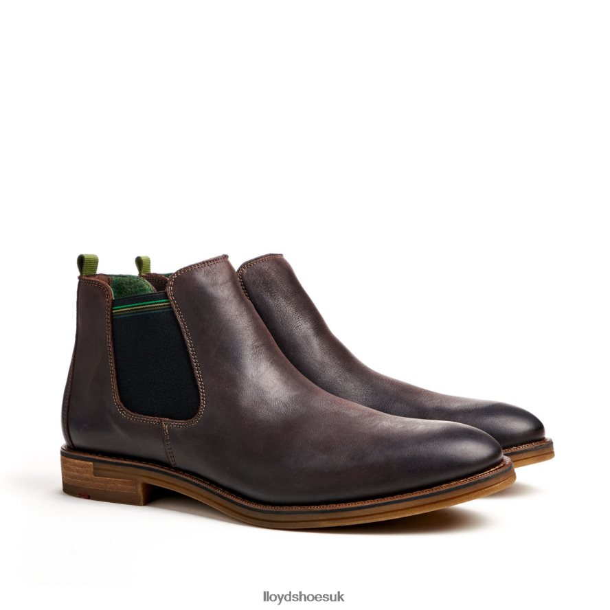 LLOYD Men DARRY H4BXXT459 Shoes brown