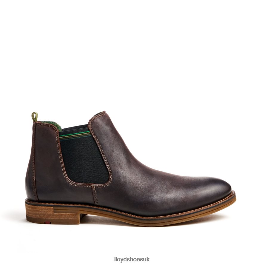 LLOYD Men DARRY H4BXXT459 Shoes brown