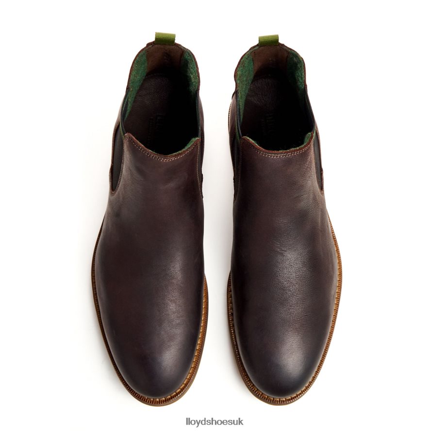 LLOYD Men DARRY H4BXXT459 Shoes brown