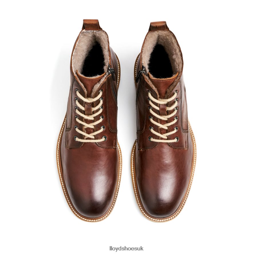LLOYD Men DARWIN H4BXXT475 Shoes brown