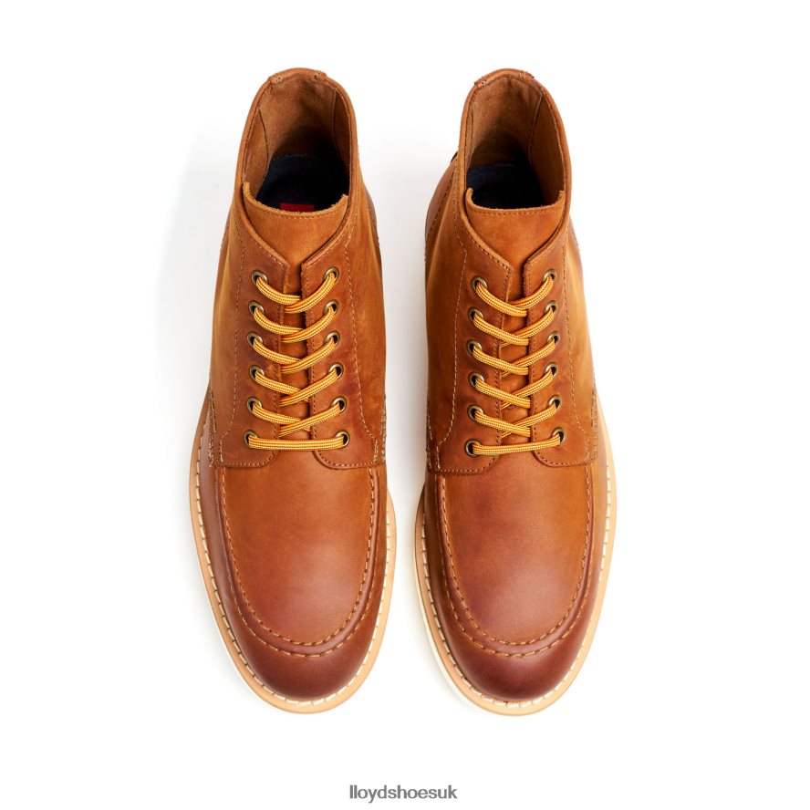 LLOYD Men DEBAR H4BXXT501 Shoes brown