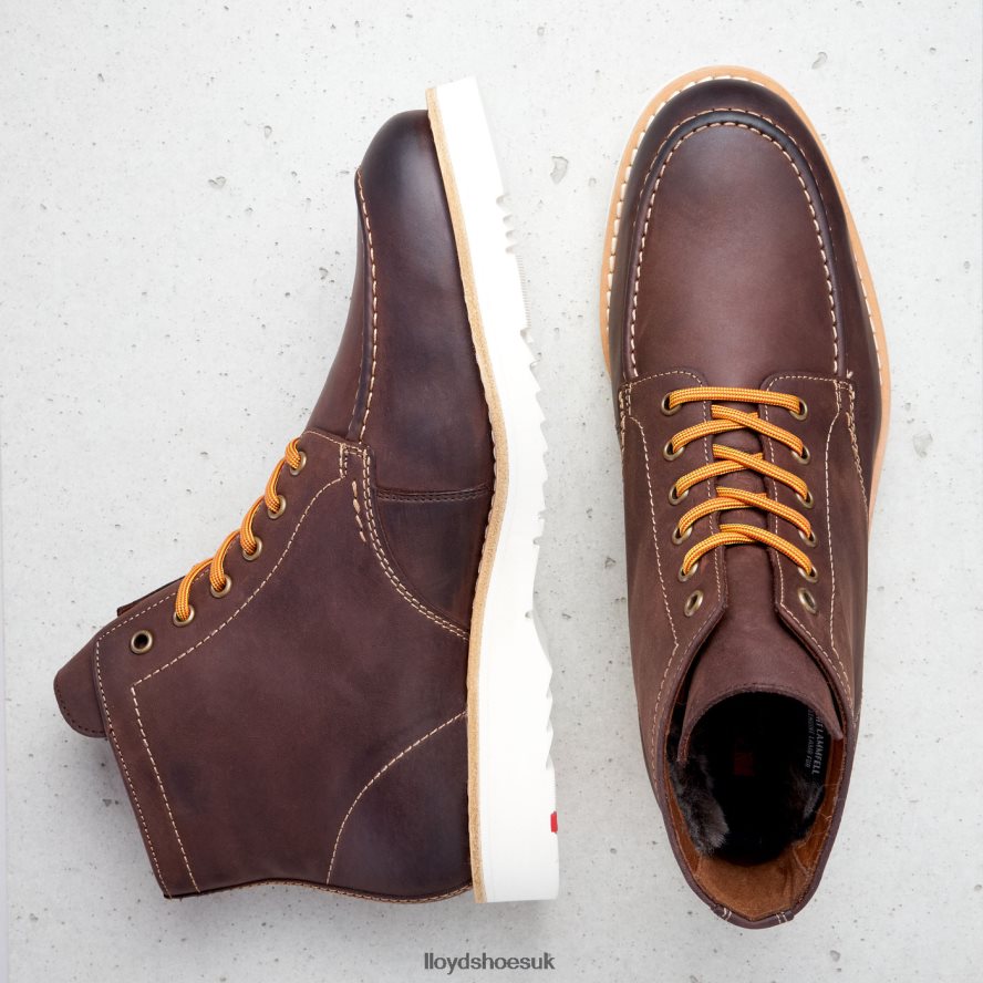 LLOYD Men DENIER H4BXXT504 Shoes brown