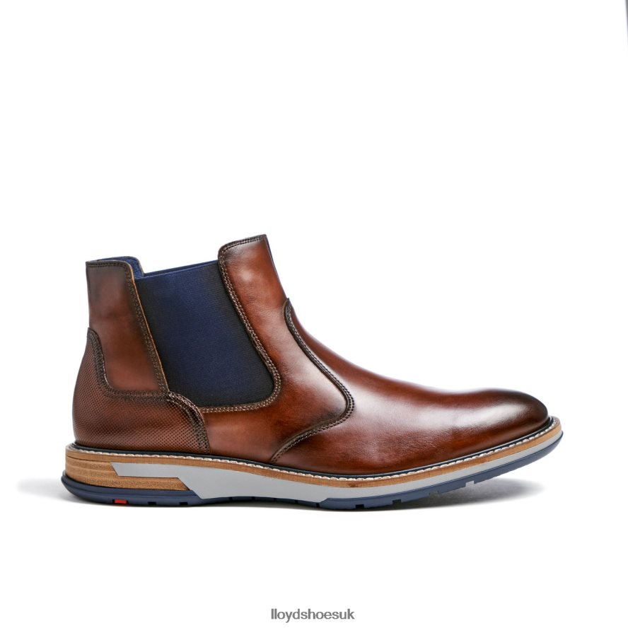 LLOYD Men DEXTER H4BXXT469 Shoes brown