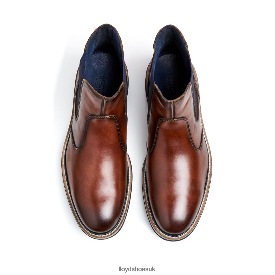 LLOYD Men DEXTER H4BXXT469 Shoes brown