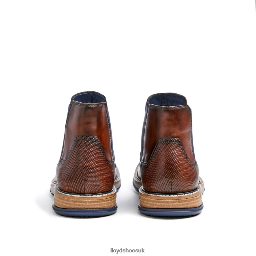 LLOYD Men DEXTER H4BXXT469 Shoes brown