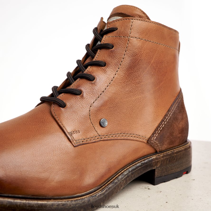 LLOYD Men DWAYN H4BXXT535 Shoes brown