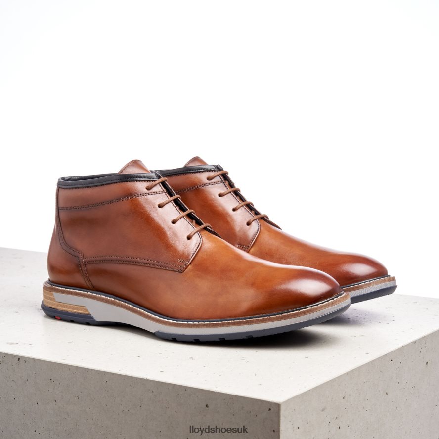 LLOYD Men GIJON H4BXXT556 Shoes brown