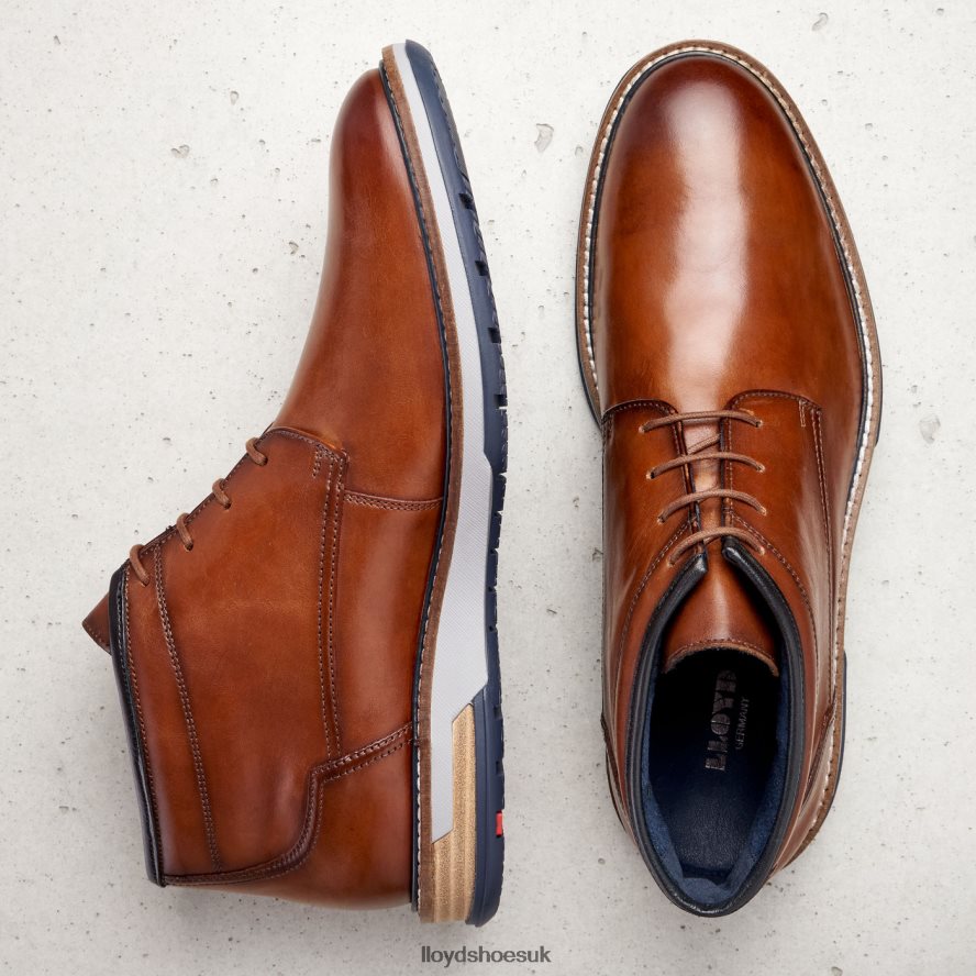 LLOYD Men GIJON H4BXXT556 Shoes brown